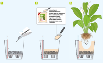 Ako zasadiť rastlinu do samozavlažovacieho črepníka Lechuza