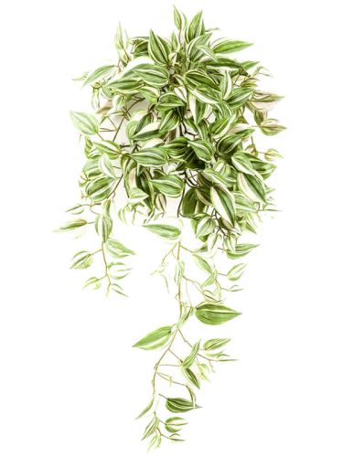 Umelá ťahavá rastlina tradescantia (206 listov), 70cm