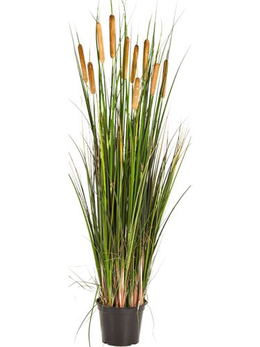 Umelá tráva (cattail grass) V120 cm
