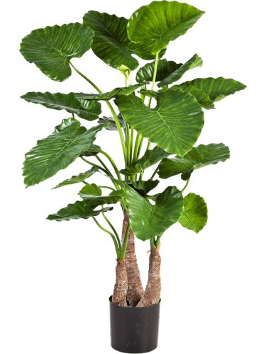 Umelá rastlina alocasia calidora tuft V120 cm