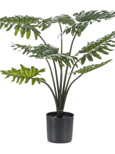 Umelá rastlina philodendron (12 listov), V80cm