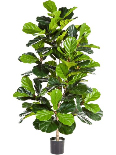 Umelá rastlina ficus lyrata bush V130cm