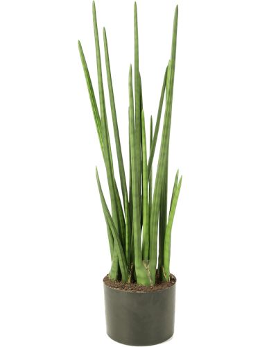 Umelá sansevieria (svokrin jazyk, baton plant) V99 cm