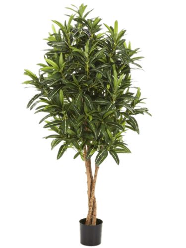 Umelá rastlina croton goldfinger tree V125 cm