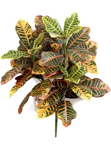 Umelá rastlina croton, trs, V58 cm