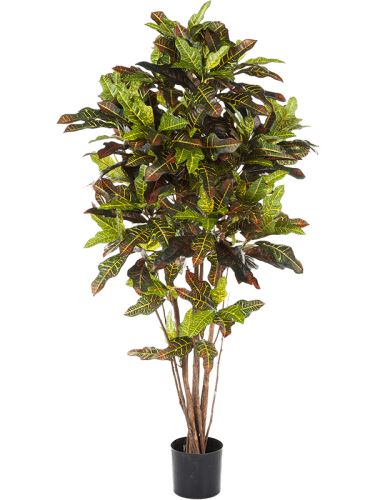 Umelá rastlina croton exellent, rozkonárený,  V120cm