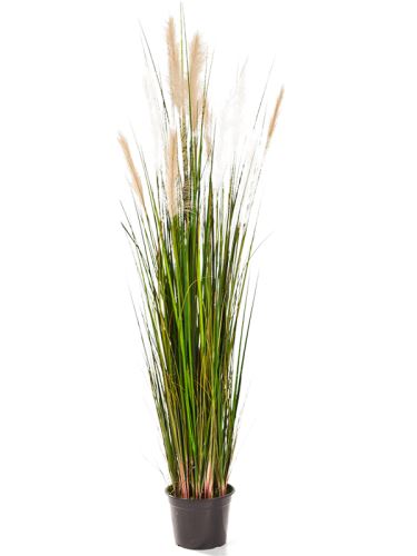 Umelá tráva (grass reed cream-brown) V150 cm